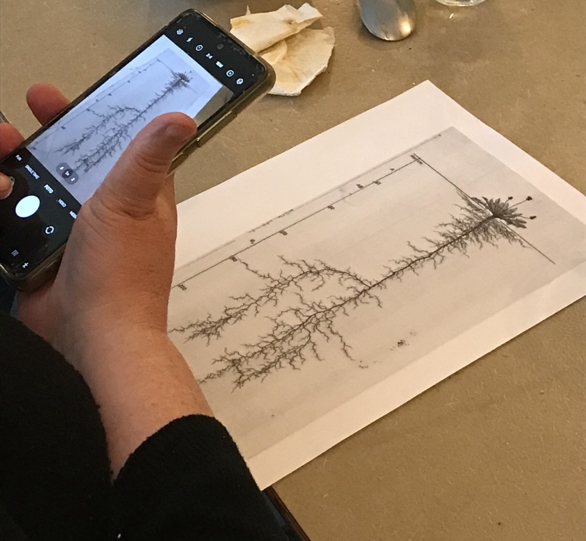 Roots in the Garden and in Our&nbsp;Lives